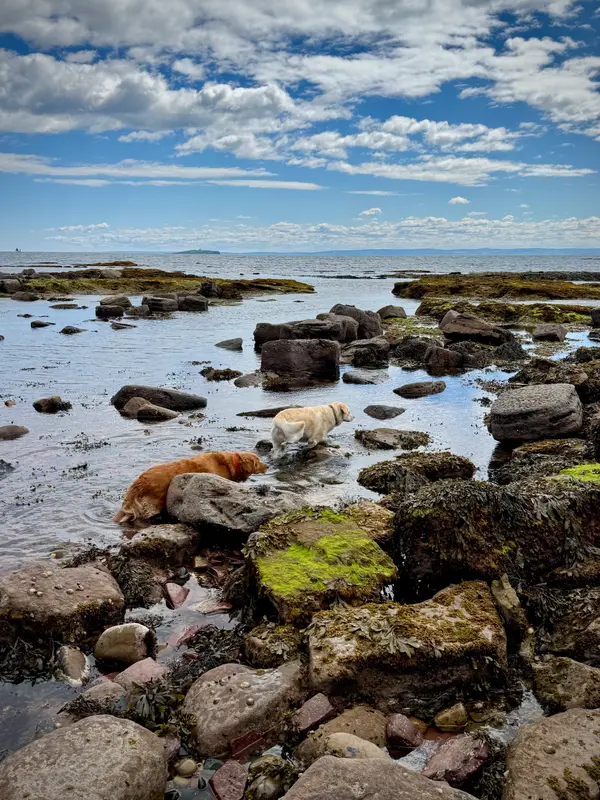 Crail Harbour