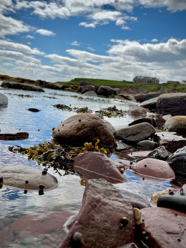 Crail Harbour