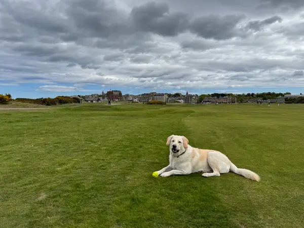 St. Andrews - Old Course