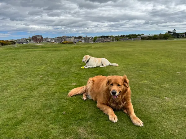 St. Andrews - Old Course