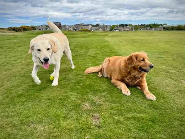 St. Andrews - Old Course