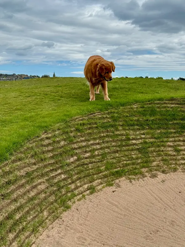 St. Andrews - Old Course