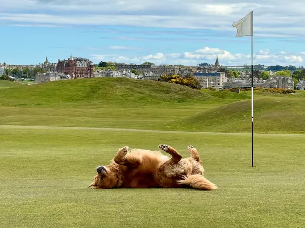 St. Andrews - Old Course