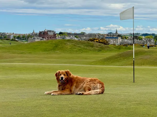 St. Andrews - Old Course