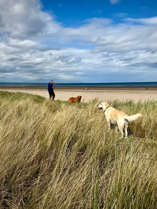 West Sands Beach