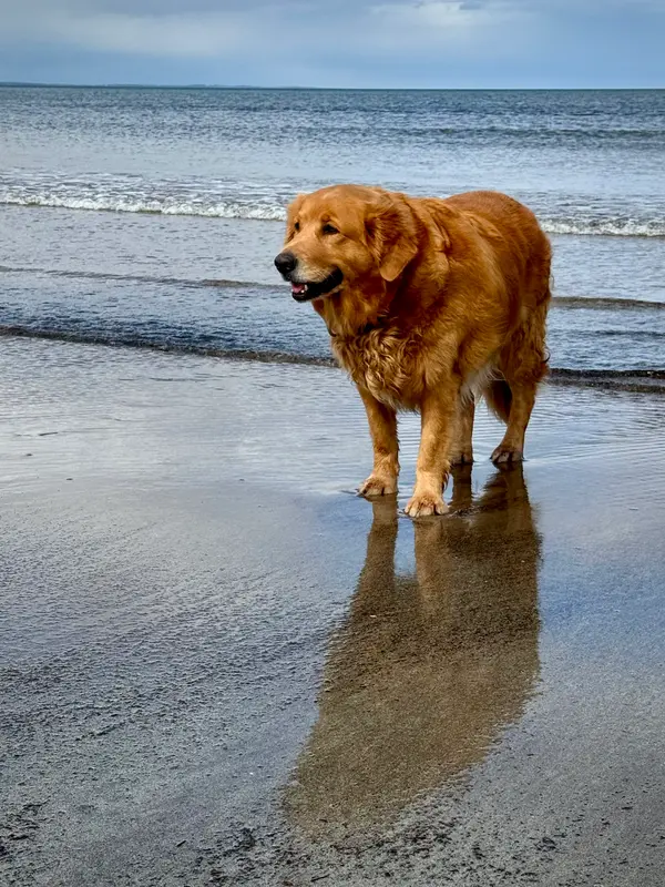 West Sands Beach