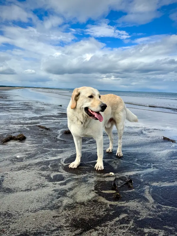 West Sands Beach