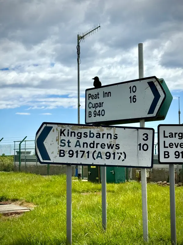 Photos along the way