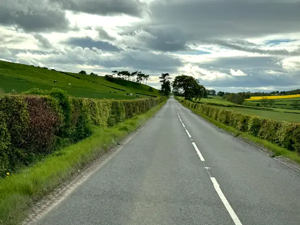 Photos along the way