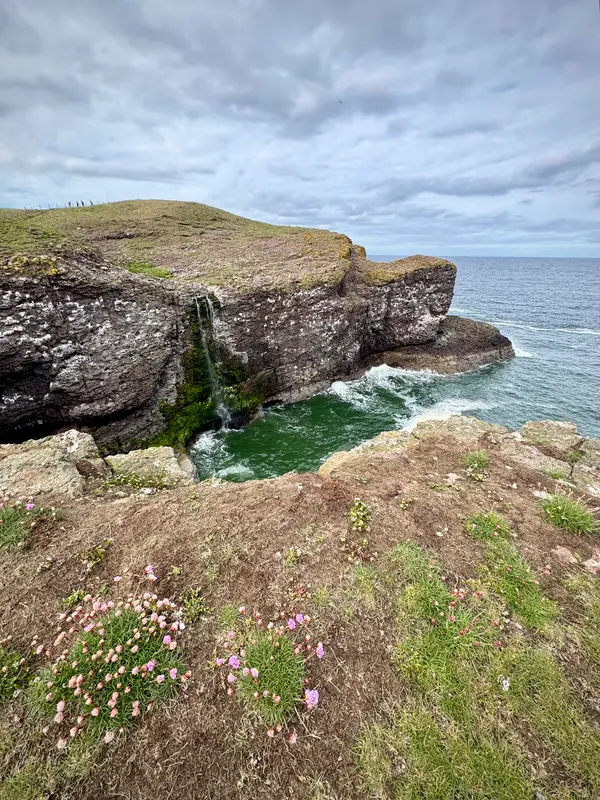 Crawton Waterfall
