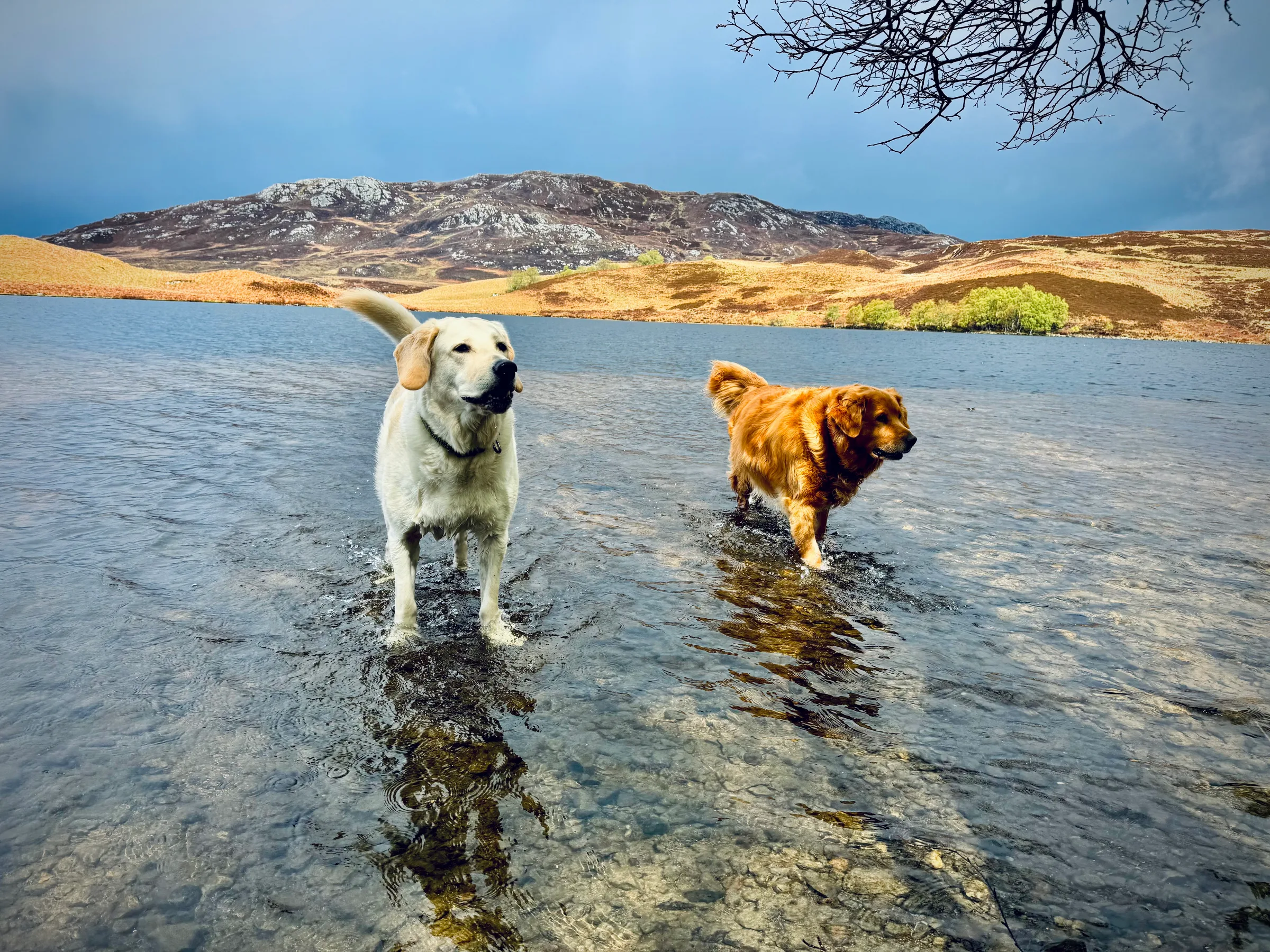 Loch Tarff Viewpoint