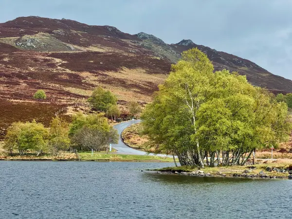 Loch Tarff Viewpoint