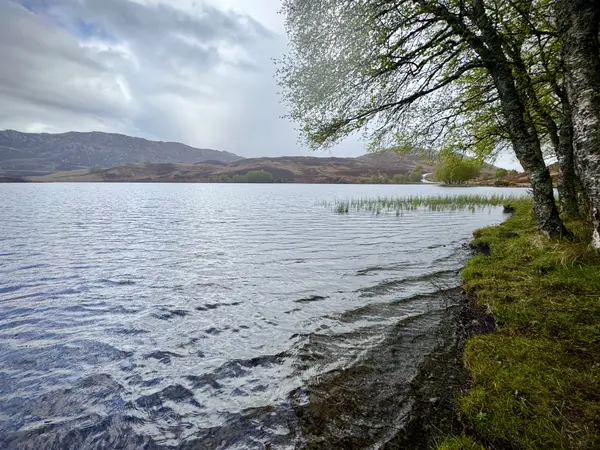 Loch Tarff Viewpoint