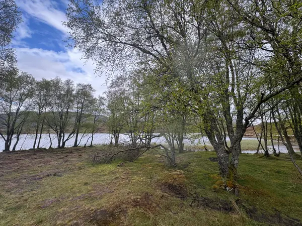 Loch Tarff Viewpoint
