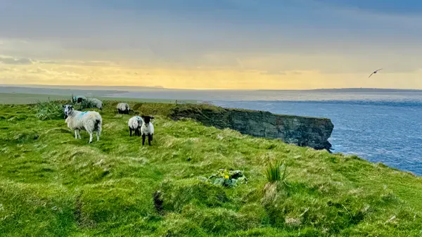 Duncansby Head Lighthouse & Beach