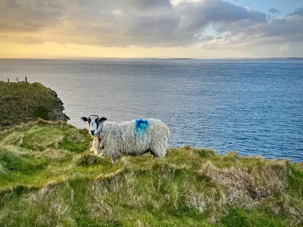 Duncansby Head Lighthouse & Beach