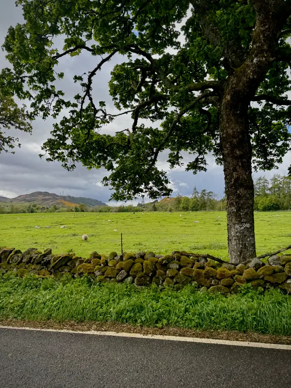 Photos along the way