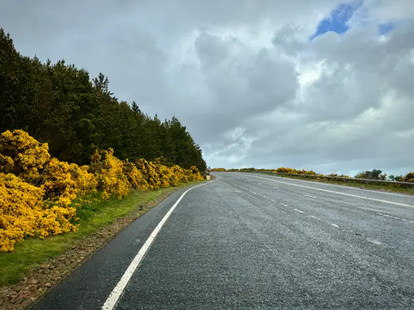 Photos along the way