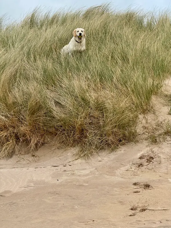 Balnakeil Beach