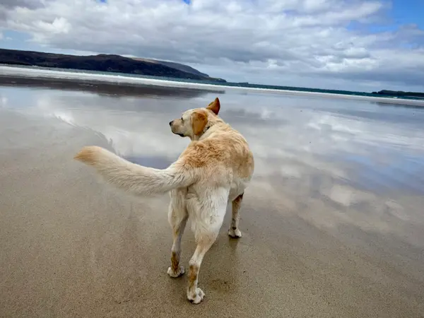 Balnakeil Beach