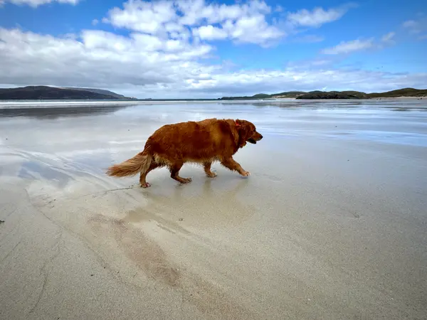 Balnakeil Beach
