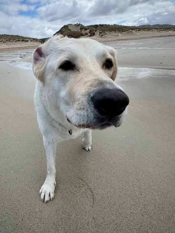 Balnakeil Beach
