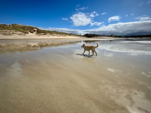Balnakeil Beach