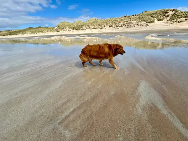 Balnakeil Beach