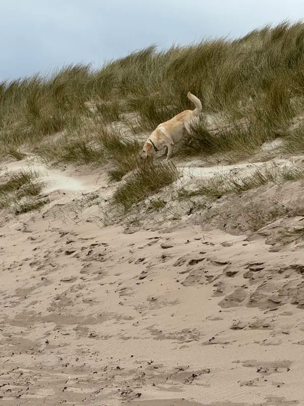 Balnakeil Beach