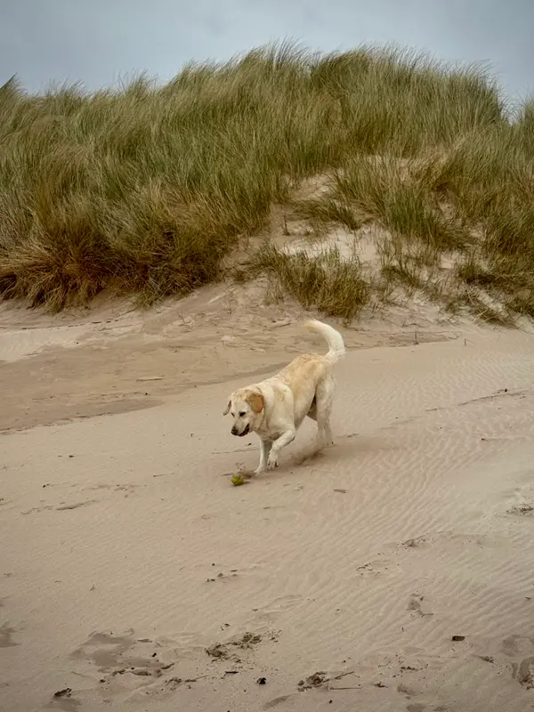Balnakeil Beach