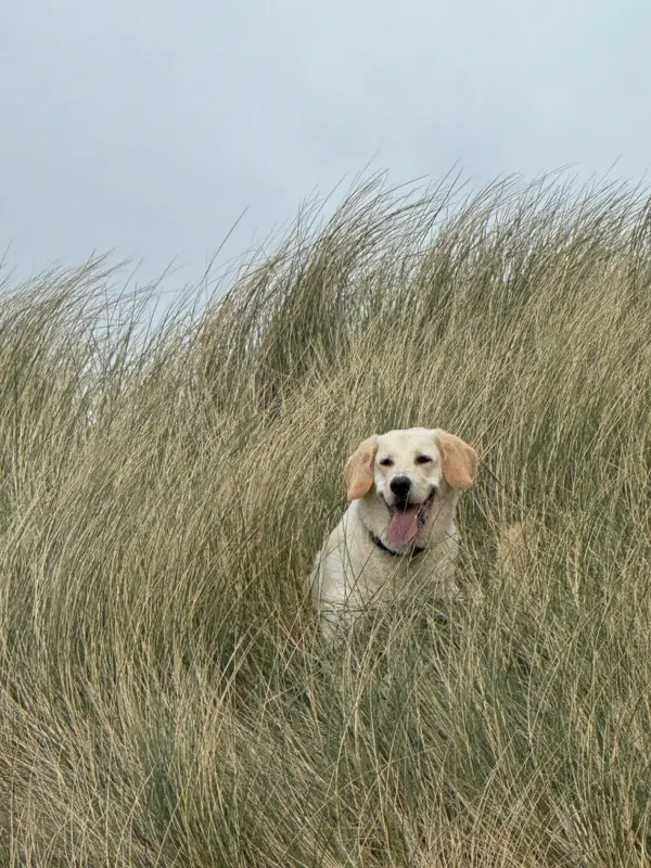 Balnakeil Beach
