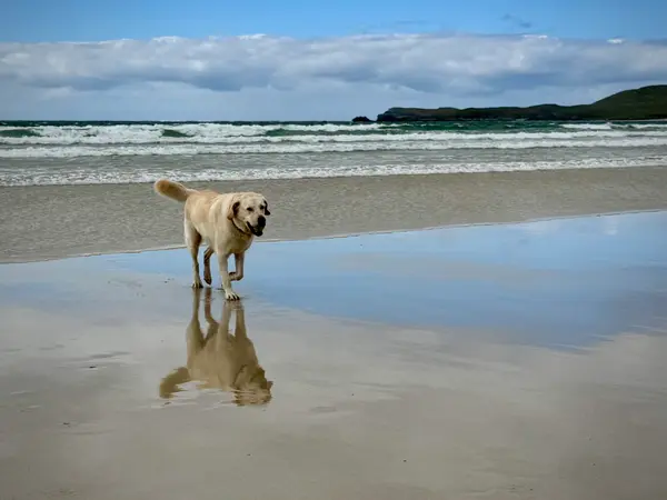 Balnakeil Beach