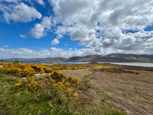 Driving through the Highlands