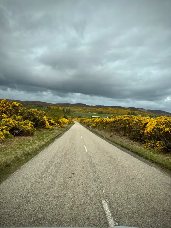 Driving through the Highlands