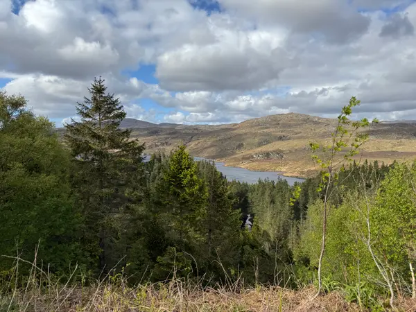Driving through the Highlands