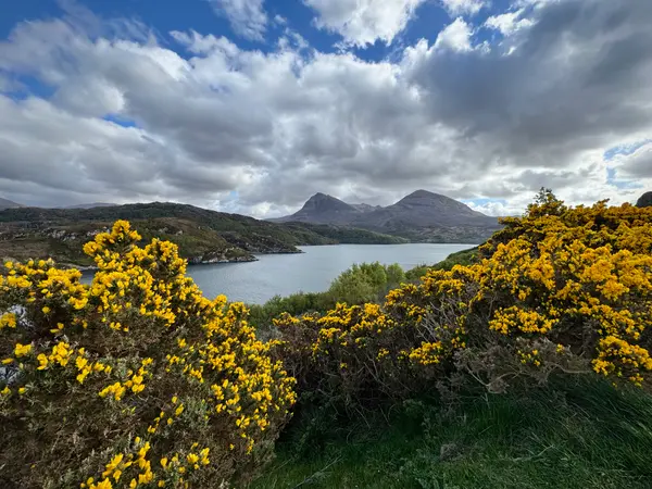 Driving through the Highlands