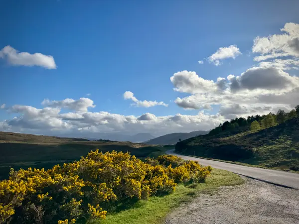Driving through the Highlands