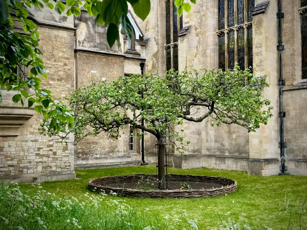 Cambridge