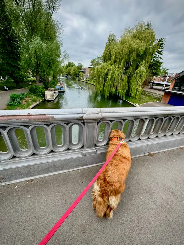 Cambridge
