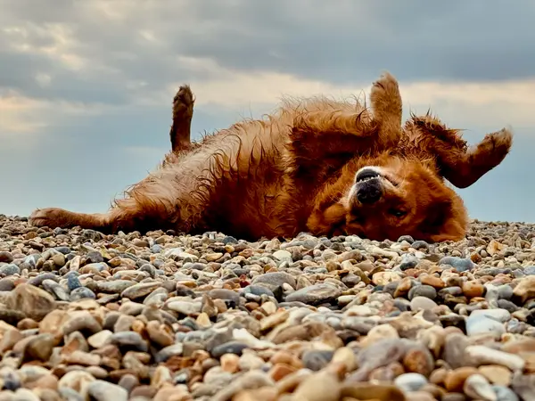 Cley Beach