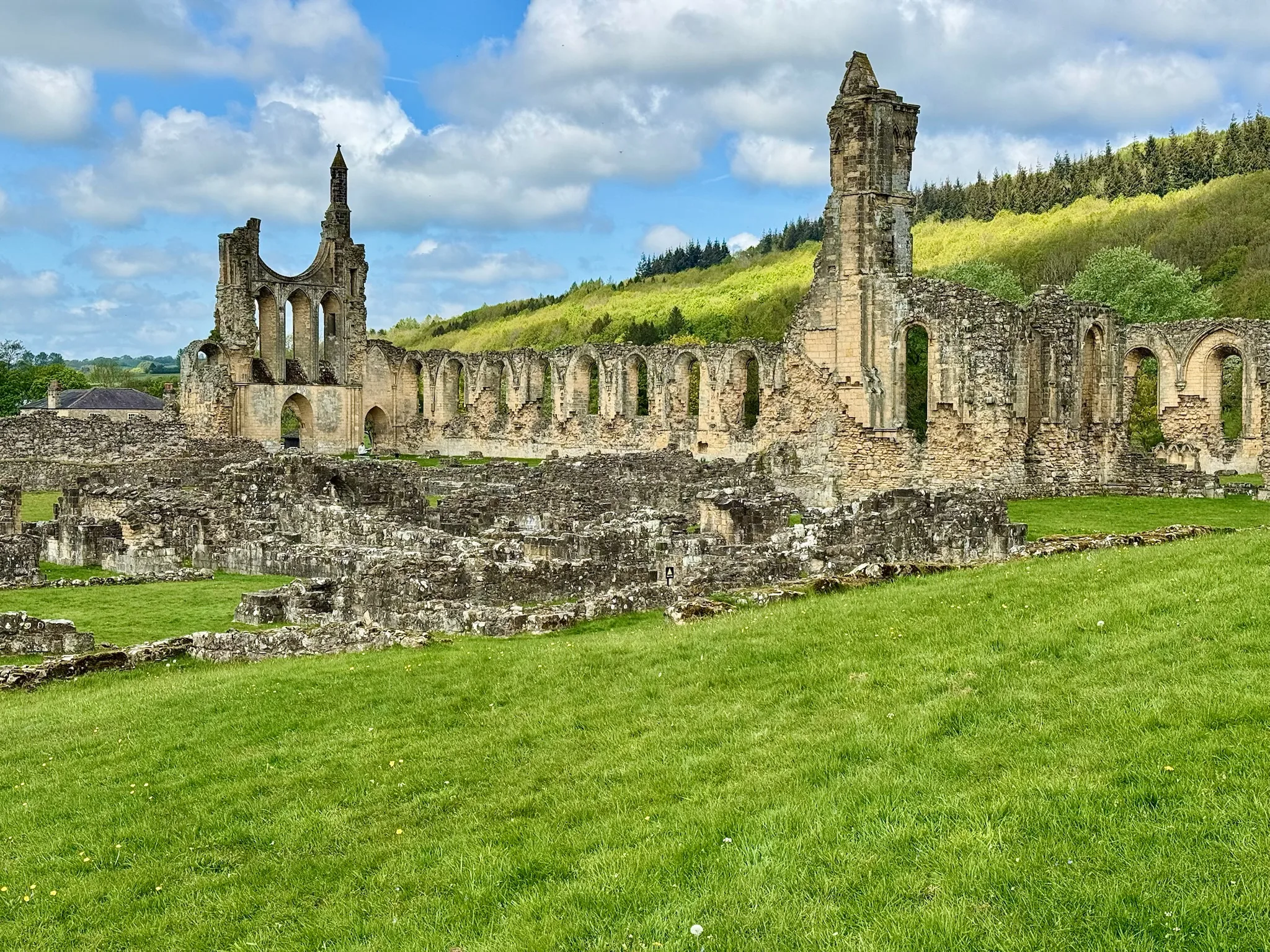 Byland Abbey