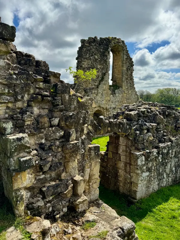 Byland Abbey