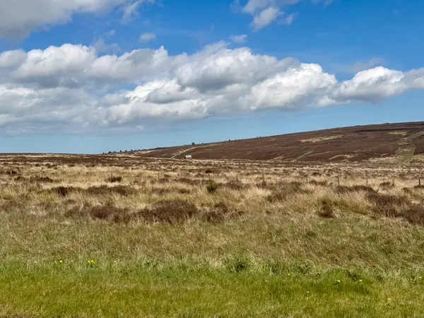Photos along the way