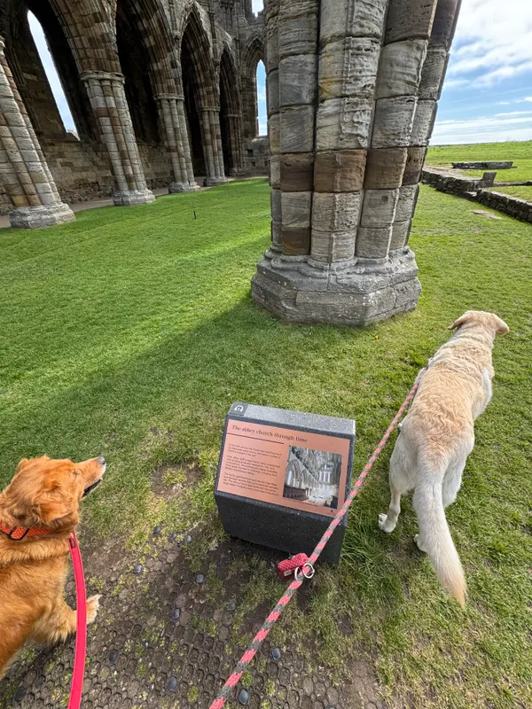 Whitby Abbey
