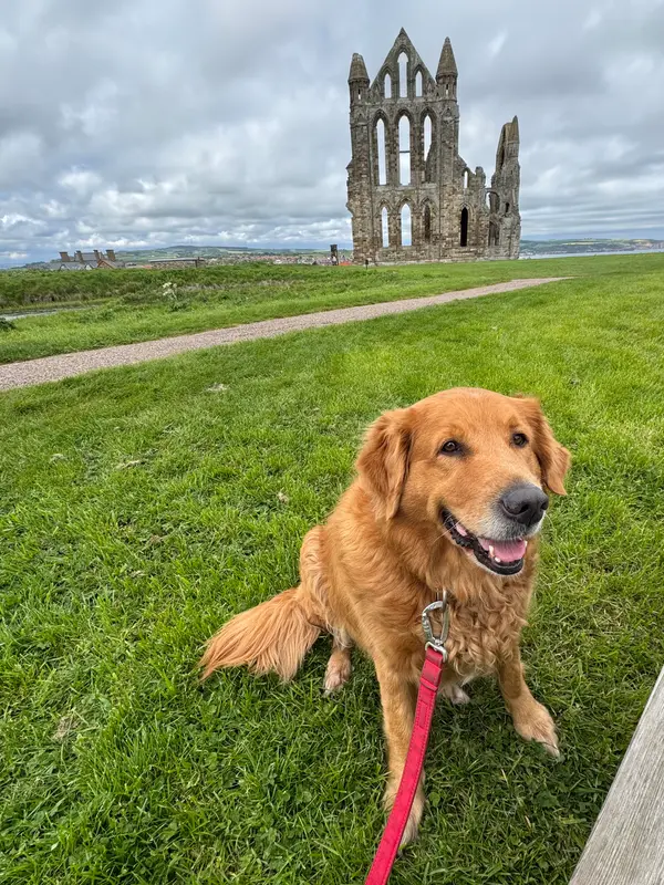Whitby Abbey