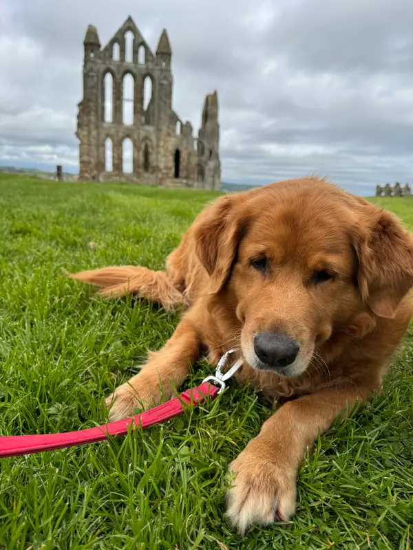 Whitby Abbey
