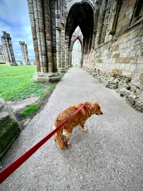 Whitby Abbey