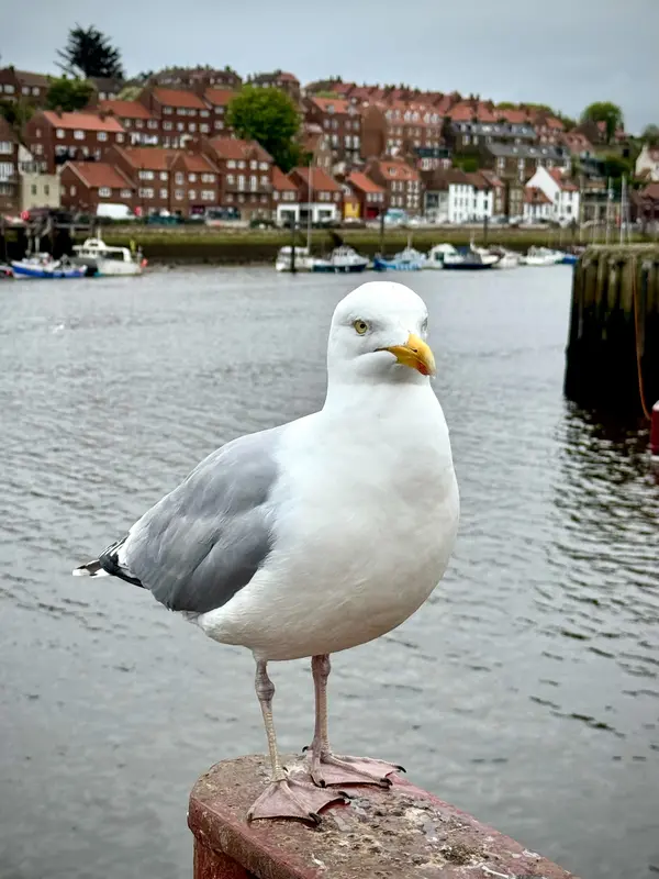 Whitby