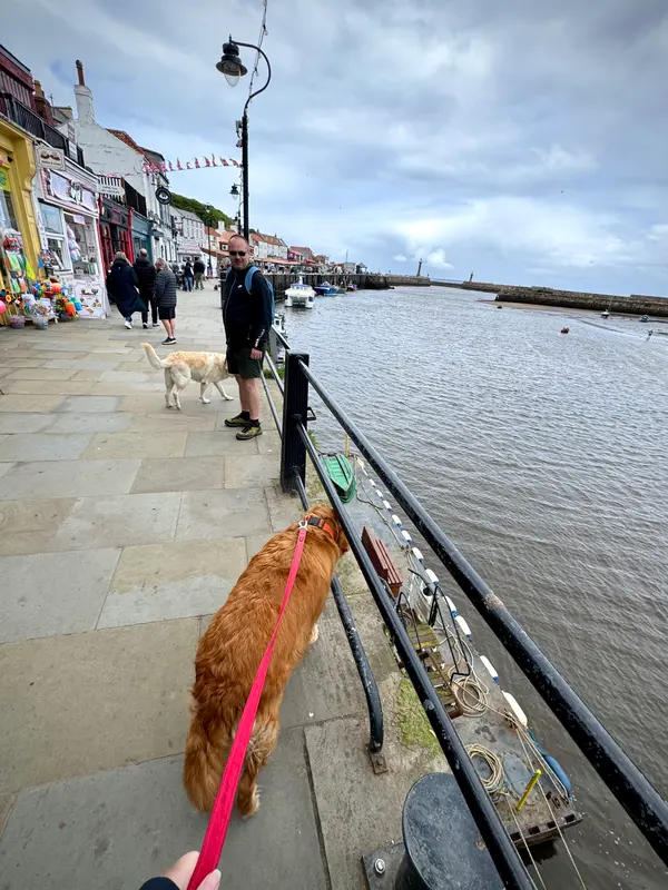 Whitby
