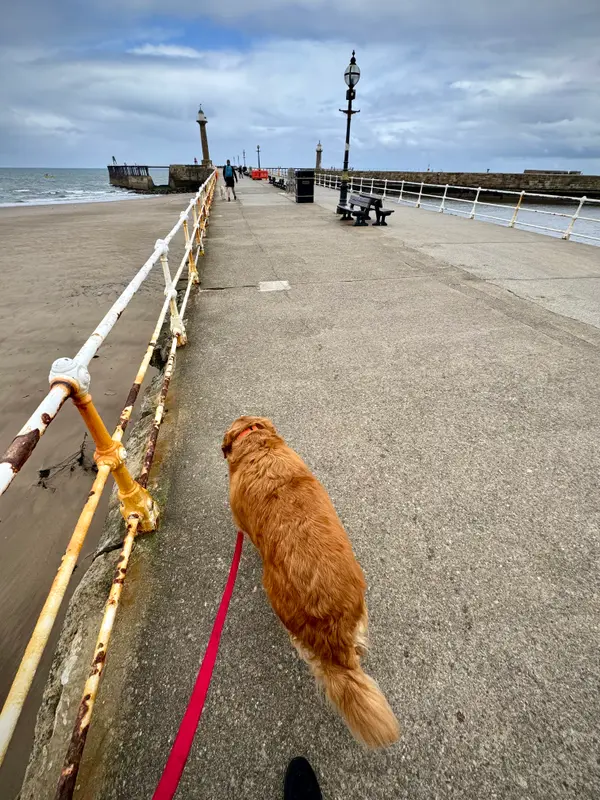 Whitby